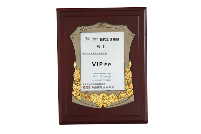 現(xiàn)代起亞機械授予茲VIP用戶